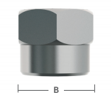 1/4" S/S Female Flare Cap Nut